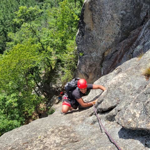 2025 Kismet photos 16